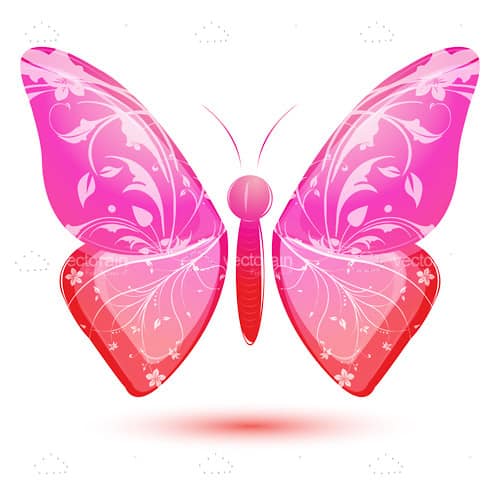 Floral Butterfly in Gradient Bright Colors